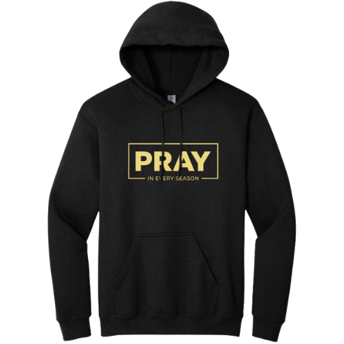Hooded Sweatshirt - Pray Every Season