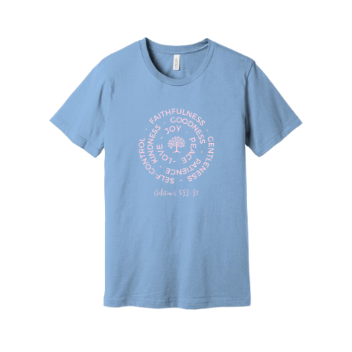 Unisex Jersey Short Sleeve Tee. Fruit of the Spirit (Sky Blue)