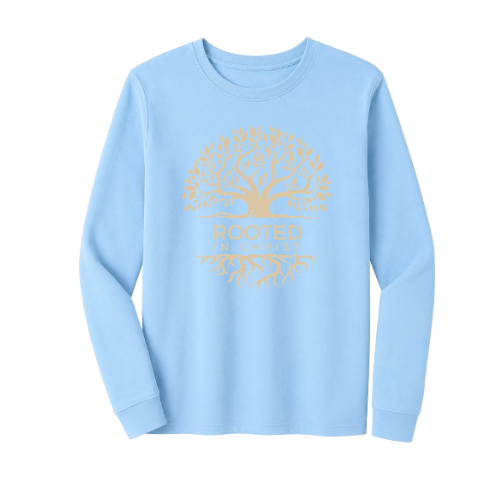 Unisex Jersey Long Sleeve Tee - Rooted In Christ (Sky Blue)